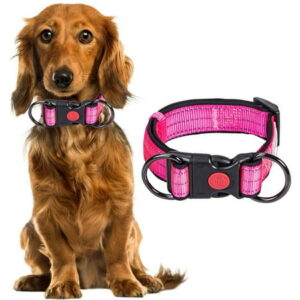 Leking Adjustable Dog Collars Reflective Dog Collar With Buckle Sturdy Nylon Pet Training Collars for Small Medium Dogs superb