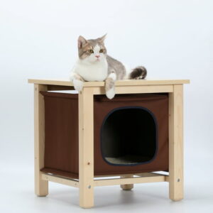 Petsfit Cat and Dog House for Indoor Use, Removable and Washable