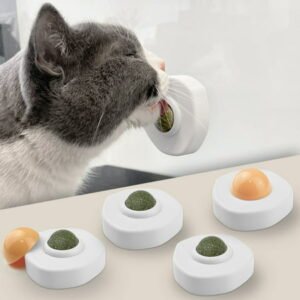 1 Set Ptlom Catnip Wall Ball, Detachable Silvervine Catnip Lollipop, Edible Kitty Toys for Cats Lick, Safe Healthy Kitten Chew Toys, Teeth Cleaning Dental Cat Ball Toy for Indoor