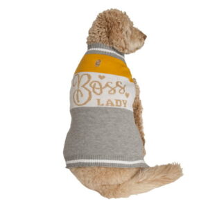 Vibrant Life Fall Gray & Mustard Boss Lady Dog Sweater