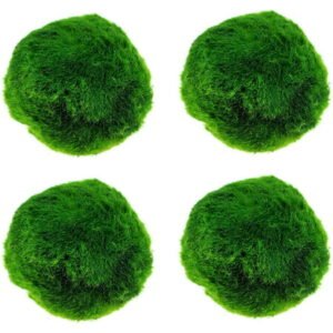 4PCS Aquarium Moss Balls,Live Aquarium Plants Green Moss Decorative Ball for Fish Tank Ornaments Freshwater Terrarium Moss Decoration