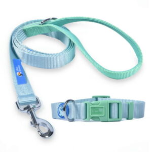 The Dodo Blue & Green Dog Collar and Leash Set – Medium