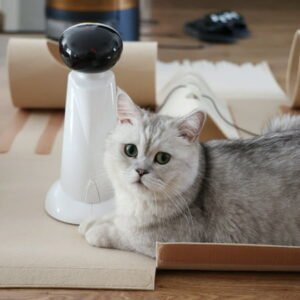 All For Paws Automatic Cat Laser Toy – Laser Rotates 360 Degree with Random Patterns