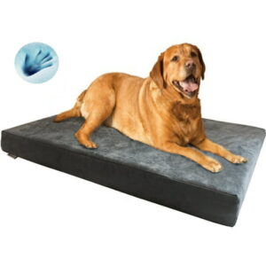 XXL Orthopedic Waterproof Memory Foam Dog Bed for Large Pet 55″X37″X4″, Microsuede Gray Washable Cover