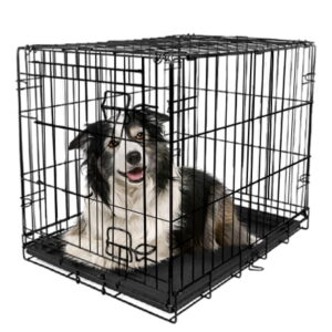 Vibrant Life Single-Door Folding Dog Crate with Divider, X-Large, 42″