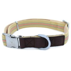 Vibrant Life Premium Dog Collar, Tan, Extra Small