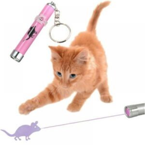 Kernelly Cat Laser Pointer Toys, Cat Catch the LED Light, Interactive Kitty Light Toys Training