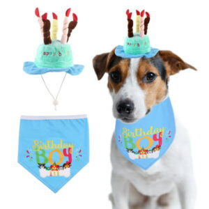 CHBORLESS 2 Pieces Dog Birthday Hat Triangle Slobber Towel Pet Party Bandana Scarf (Blue)