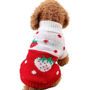 Jecikelon Pet Dog Sweaters Classic Knitwear Turtleneck Winter Warm Puppy Clothing Cute Strawberry and Heart Doggie Sweater (Red1, X-Small）