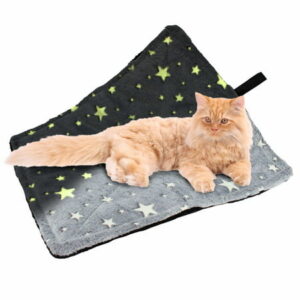 Downtown Pet Supply Thermal Cat Bed, Washable, Glow in the Dark-Stars, Regular