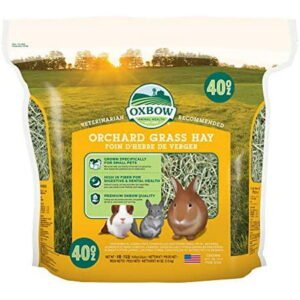 Oxbow Animal Health Orchard Grass Hay – All Natural Grass Hay for Chinchillas, Rabbits, Guinea Pigs, Hamsters & Gerbils – 40 oz.