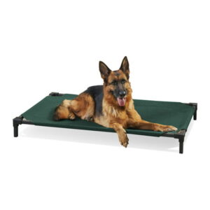 Coolaroo Cooling Elevated Dog Bed Pro, Large, Fits in 48in Crates, Brunswick Green