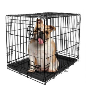 Vibrant Life, Single-Door Folding Dog Crate with Divider, Large, 36″