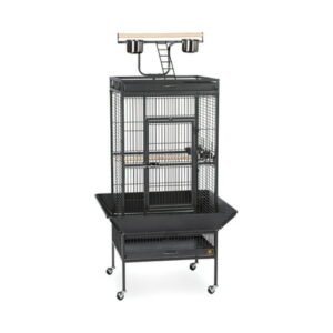 Prevue Select Wrought Iron Parrot Bird Cage 24x20x60″, Black