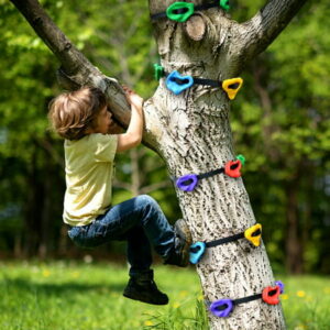 Sekkvy 12 Rock Climbing Holds for Tree with 6 Ratchet Straps,Indoor And Outdoor Obstacle Courses Training for Kids or Adults