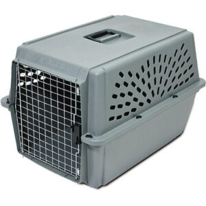 Petmate Pet Carrier