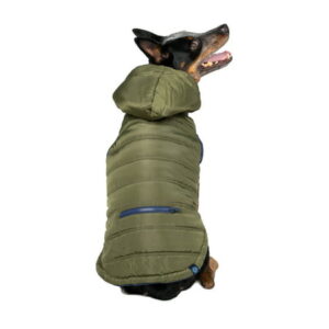 Gap Pet, Dog Clothes, Green Utility Pet Jacket