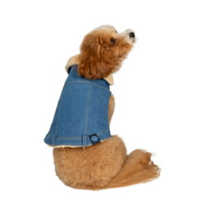 Gap Pet, Dog Clothes, Blue Denim Pet Jacket