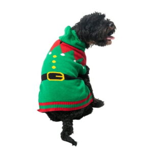 Vibrant Life Holiday Dog Clothes Green Elf with Hood Sweater, Medium