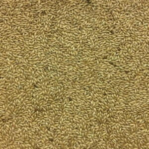 Morning Bird Canary Seed, High in Protein, Amino Acids, Potassium, and Calcium, Favorite for Birds, 18 lbs