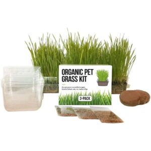 The Cat Ladies Cat Grass Kit – Organic Seed, BPA-Free Pots – Locally Sourced, 3-Pack