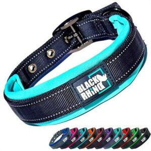 BLACK RHINO Comfort Dog Collar Ultra Soft Neoprene (Medium, Aqua/Grey)