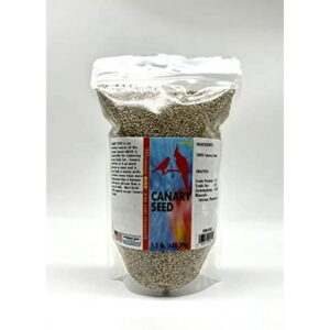 Morning Bird Canary Seed, High in Protein, Amino Acids, Potassium, and Calcium, Favorite for Birds, 1.5 lbs