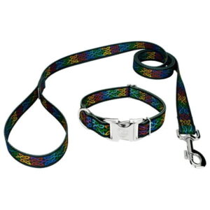 Country Brook Petz® Premium Celtic Pride Collar and Leash, Extra Large