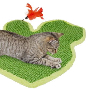 Kitty City, Cat Toys, Durable Cactus Cat Scratch Mat with Feather Toy, Green