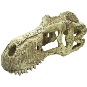 Komodo Reptile T-Rex Skull Terrarium Decoration – Extra Large