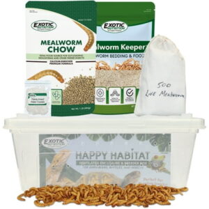 Exotic Nutrition Basic Mealworm Breeder Kit