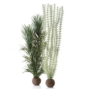 biOrb Large Ambulia Plant Set