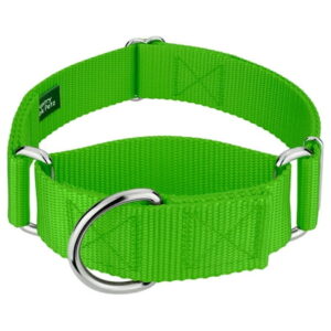 Country Brook Petz® 1 1/2 inch Hot Lime Green Martingale Heavyduty Nylon Dog Collar, Large