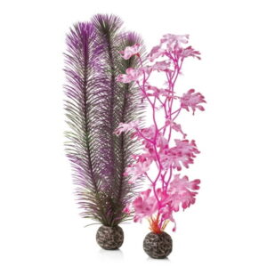 biOrb Medium Pink Kelp Plant Set