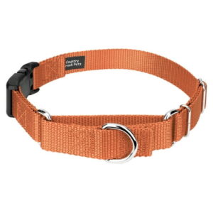 Country Brook Petz® Coral Durable Nylon Martingale with Deluxe Buckle – Made in the USA, Large