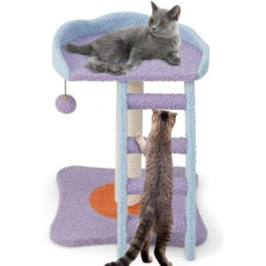 2 Storey cat Tree, cat Climbing Frame, Plush cat Tower with Ladder Shape