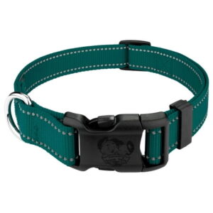 Country Brook Petz – Deluxe Teal Reflective Nylon Dog Collar – Extra Large