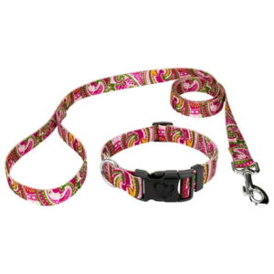 Country Brook Petz® Pink Paisley Deluxe Collar and Leash, Small