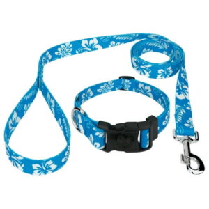 Country Brook Petz® Blue Hawaiian Deluxe Dog Collar and Leash, Medium