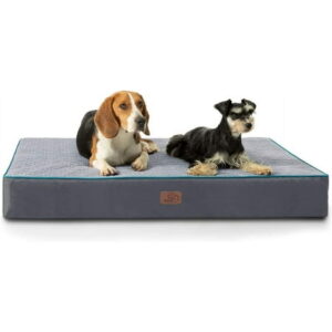 Bedsure Orthopedic Memory Foam Dog Bed, 36x27x3.5 inches,Grey