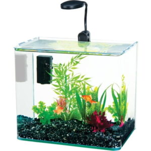 Penn-Plax Water-World Radius Desktop Aquarium Kit – 3.4 Gallon Glass Tank