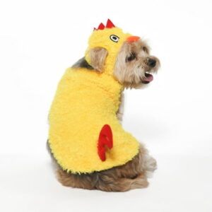 Vibrant Life Halloween Dog Costume and Cat Costume: Chicken, Size S