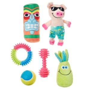 Vibrant Life Play Pack, Fun Vibe, Small, 6 Count
