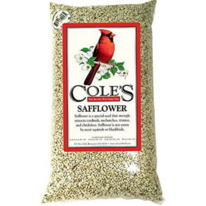 Cole’s Wild Bird Products 751478100449 Cole’s SA10 Safflower Birdseed, 10-Pound, 10 lb