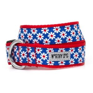 Daisies Collar