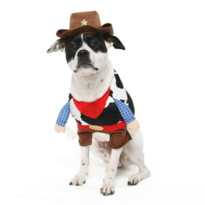 Vibrant Life Halloween Dog Costume and Cat Costume: Cowboy, Size M