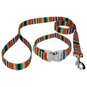 Country Brook Petz® Premium Summer Pines Dog Collar and Leash, Large