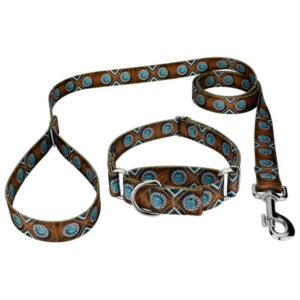 Country Brook Petz® Saddle Up Martingale Dog Collar and Leash, Small