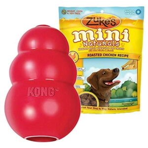 KONG Classic Dog Toy – Large