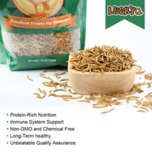 Dried Mealworms Bulk 11 LBS for chickens Birds Bluebirds Hamsters Hen Meal Worms